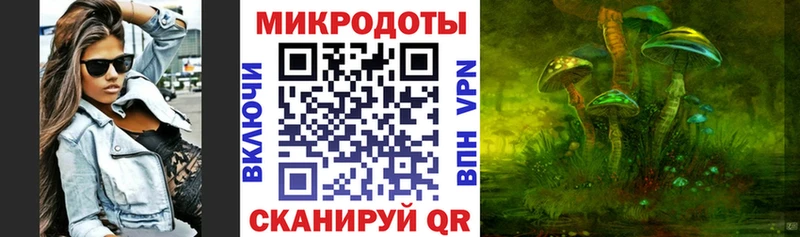 Галлюциногенные грибы Psilocybine cubensis  Купить  Острогожск 